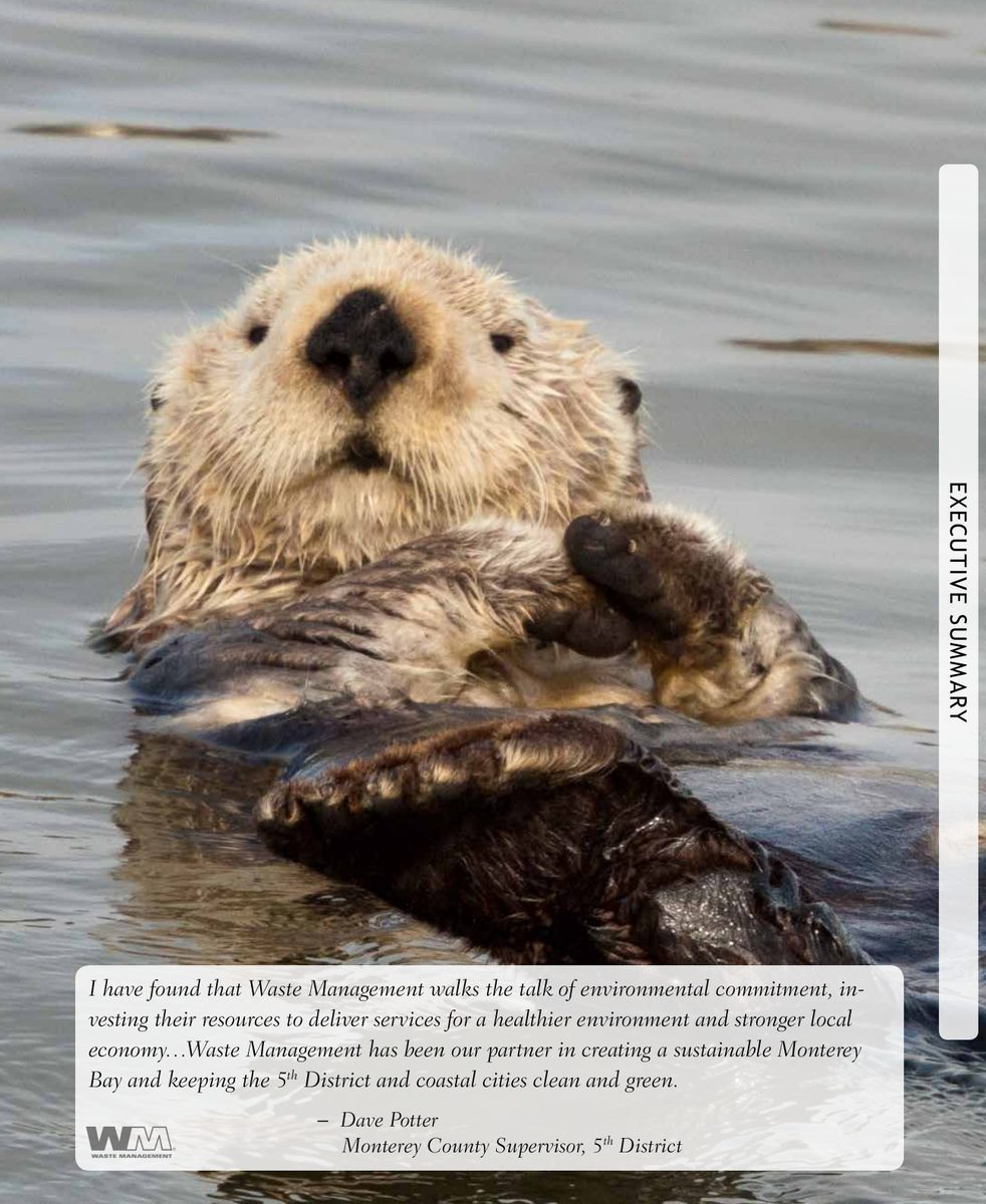 Monterey tab — sea otter in the bay, Executive Summary