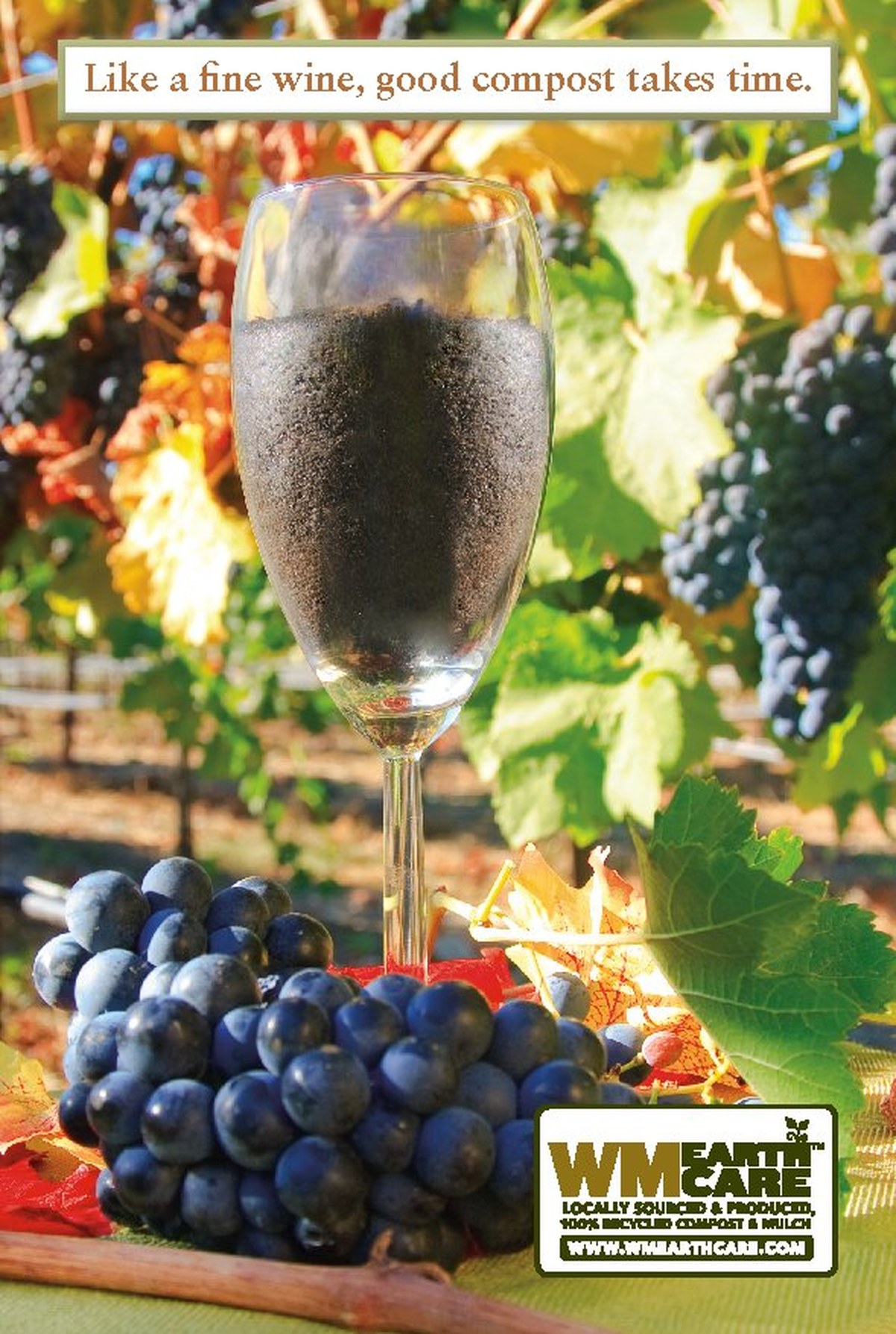 WM EarthCare vineyard leave-behind postcard